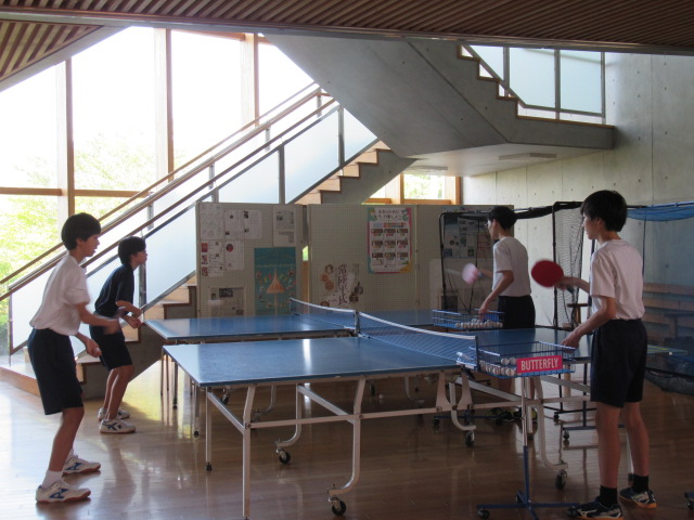 IMG_2419 IMG_2419