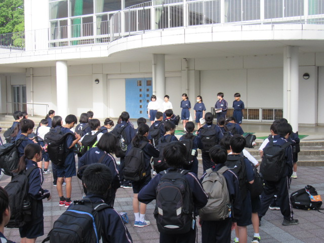 IMG_7827 IMG_7827