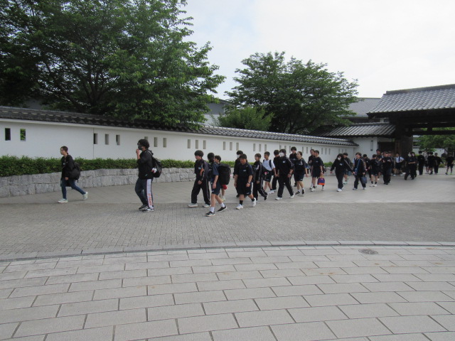 IMG_7831 IMG_7831