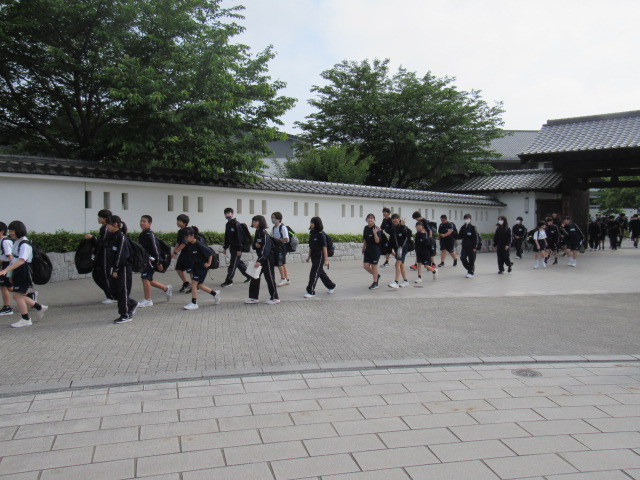 IMG_7835 IMG_7835