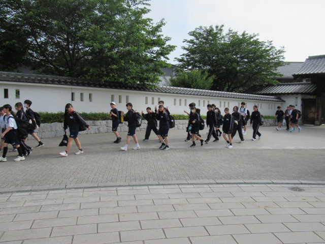 IMG_7842 IMG_7842