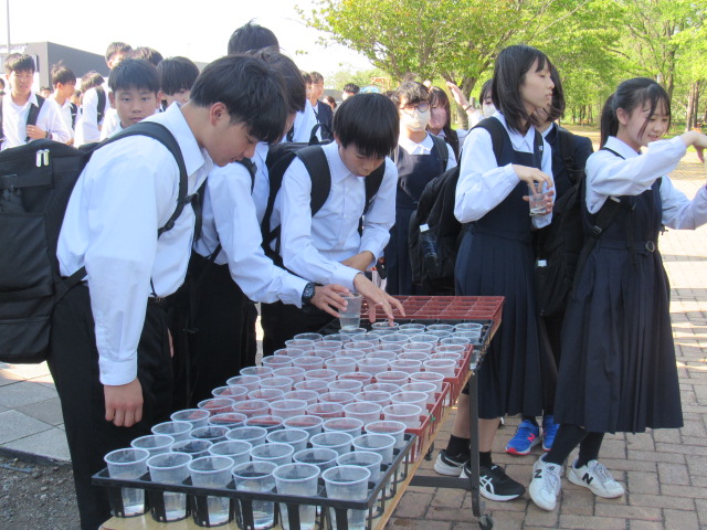 IMG_7970 IMG_7970
