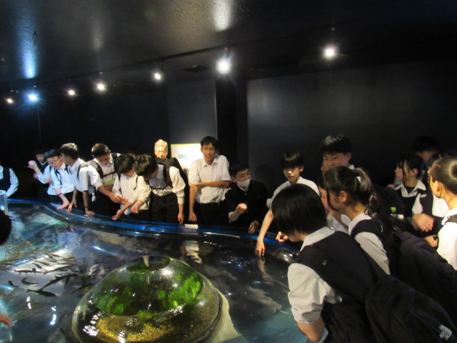 IMG_7979 IMG_7979