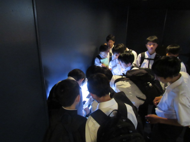 IMG_7984 IMG_7984