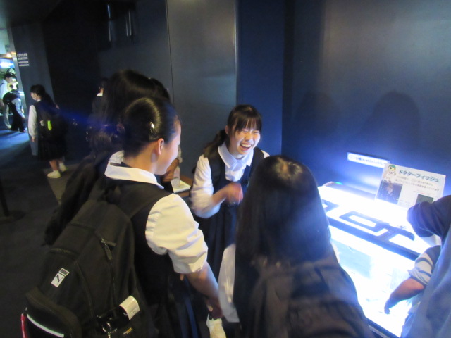 IMG_7988 IMG_7988