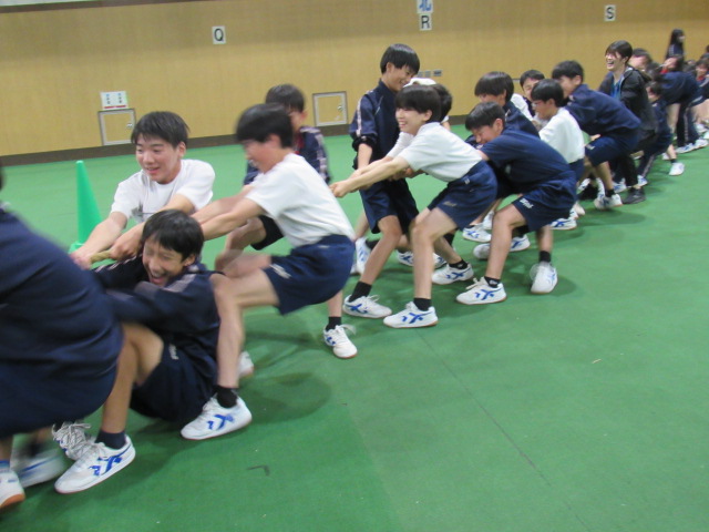 IMG_8060 IMG_8060