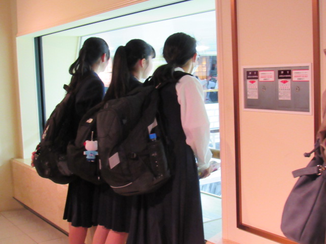 IMG_8119 IMG_8119