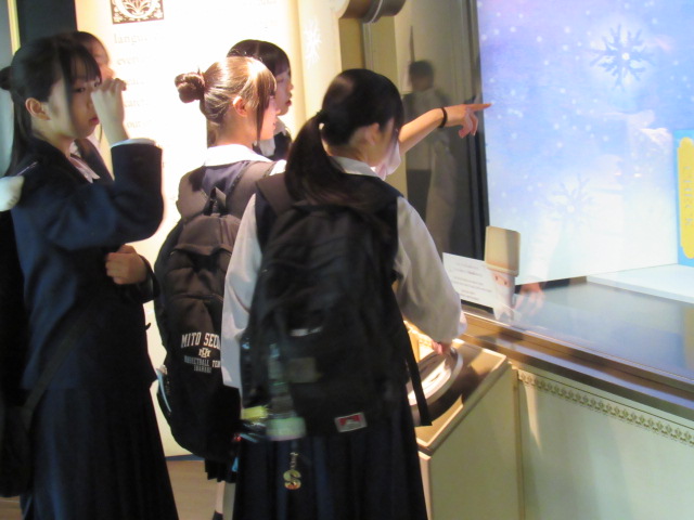 IMG_8126 IMG_8126