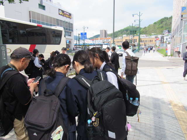 IMG_8353 IMG_8353