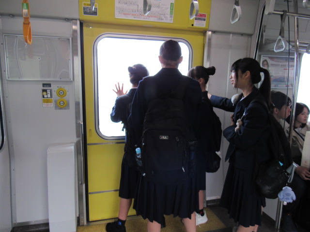 IMG_8363 IMG_8363
