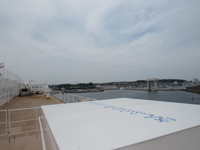 IMG_8431 IMG_8431