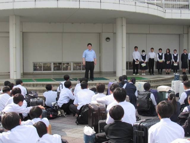 IMG_8452 IMG_8452