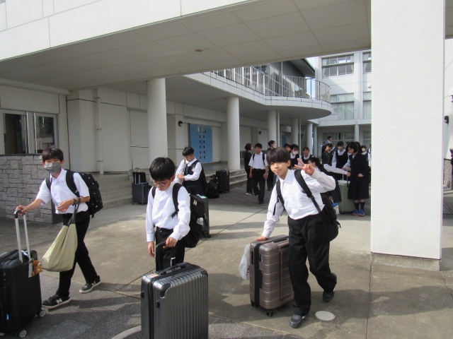 IMG_8460 IMG_8460