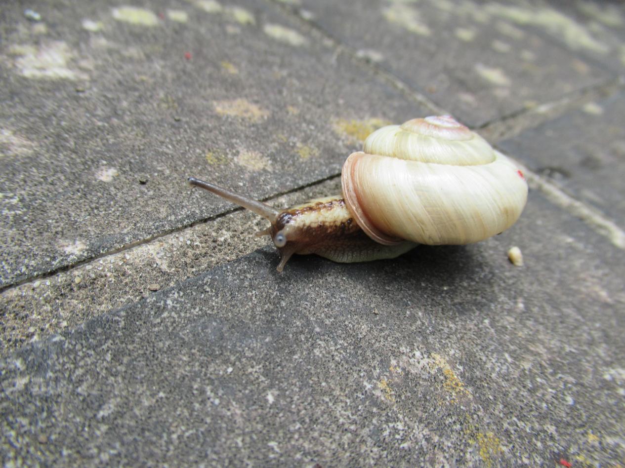 IMG_2475 IMG_2475