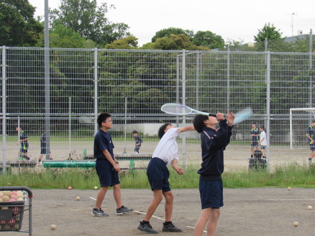 IMG_8479 IMG_8479