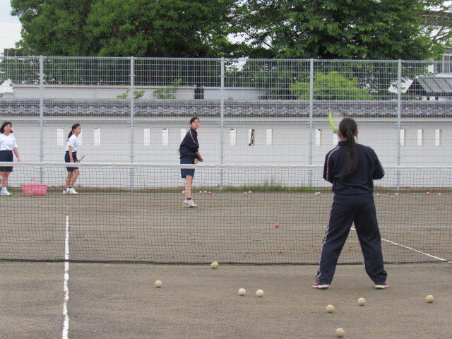 IMG_8480 IMG_8480