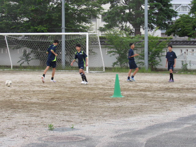 IMG_8481 IMG_8481