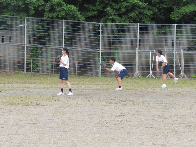 IMG_8484 IMG_8484