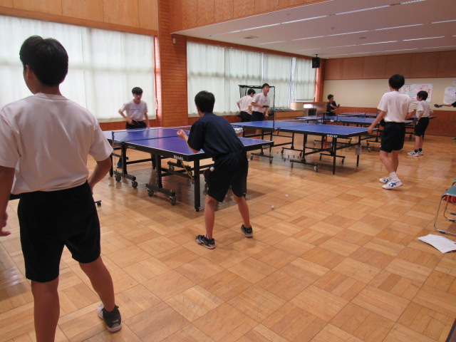IMG_8488 IMG_8488
