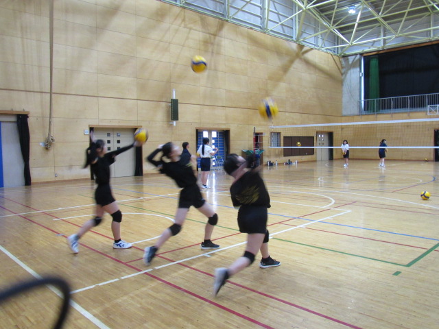 IMG_8494 IMG_8494