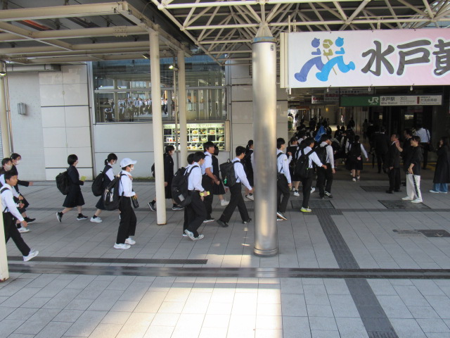 IMG_8503 IMG_8503