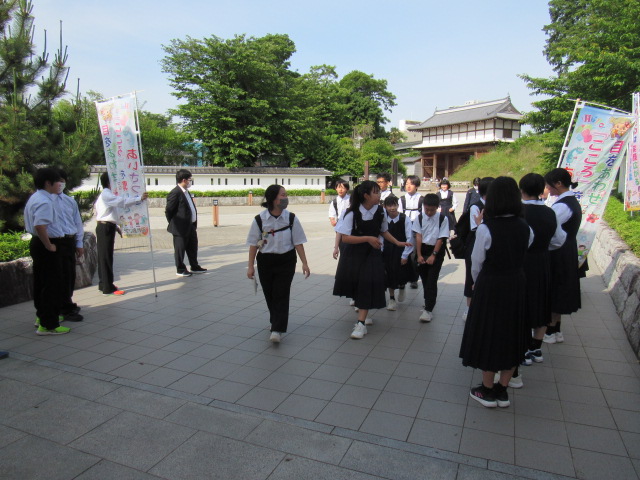 IMG_8515 IMG_8515