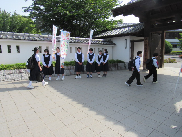 IMG_8517 IMG_8517