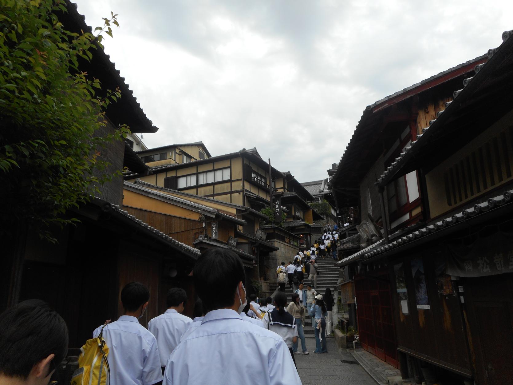 DSCN0813 DSCN0813