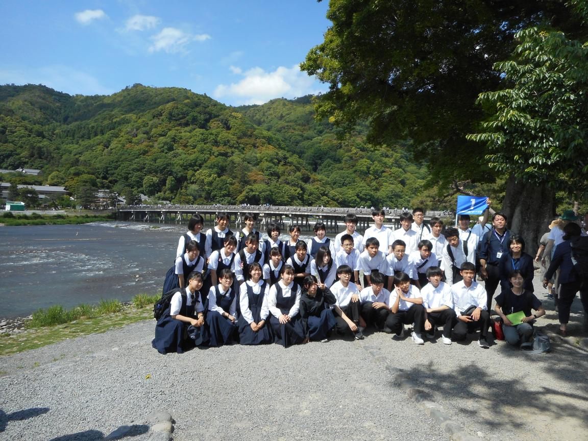 DSCN0713 DSCN0713
