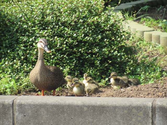 IMG_8569 IMG_8569