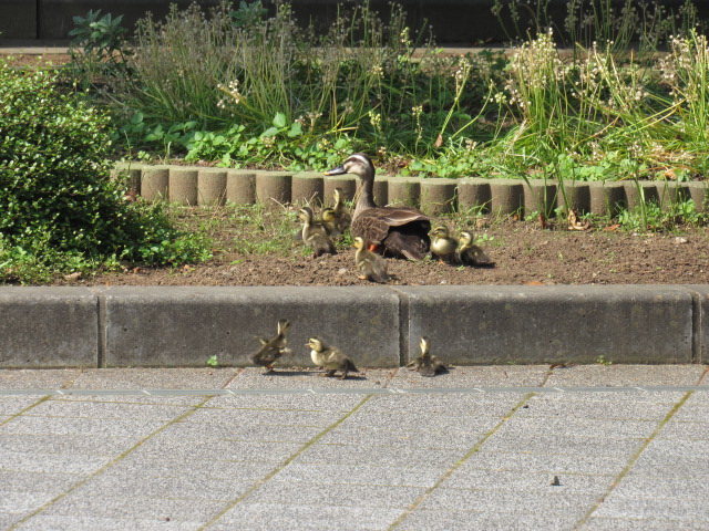 IMG_8565 IMG_8565