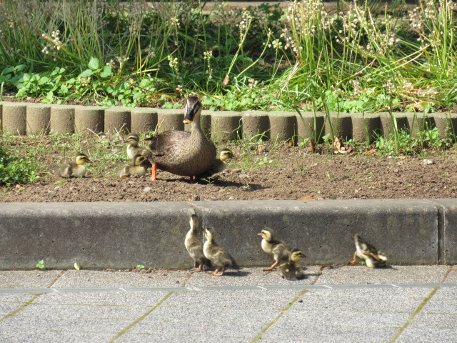 IMG_8564 IMG_8564