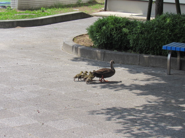 IMG_8573 IMG_8573