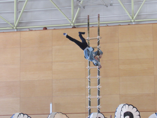 IMG_8739 IMG_8739