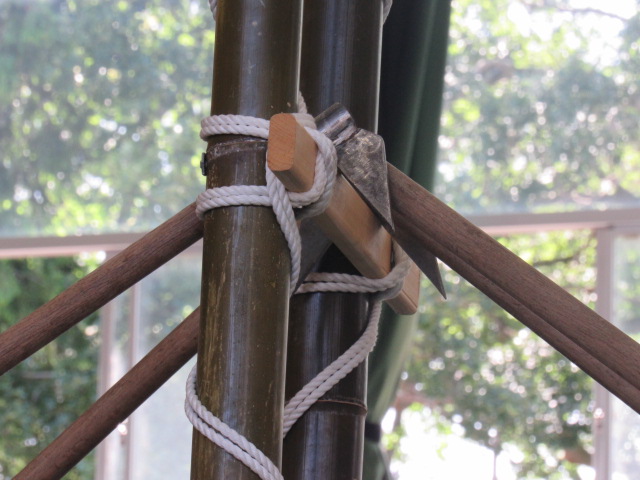 IMG_8724 IMG_8724