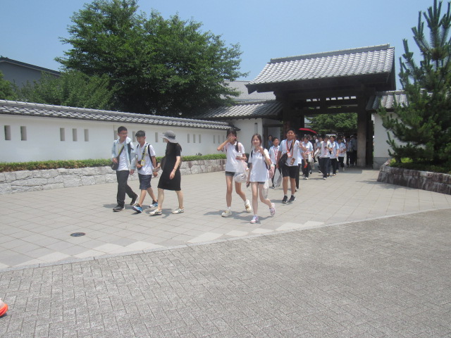 IMG_8994 IMG_8994