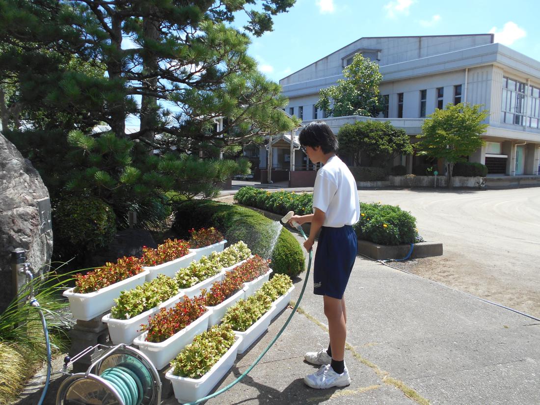 DSCN1184 DSCN1184