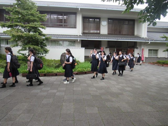 IMG_0335 IMG_0335