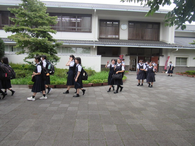 IMG_0336 IMG_0336