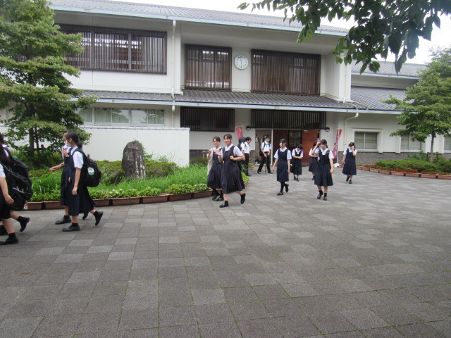 IMG_0339 IMG_0339