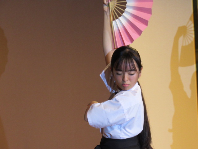 IMG_0517 IMG_0517
