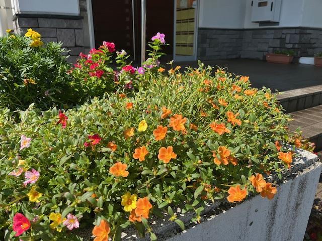 IMG_2147 IMG_2147