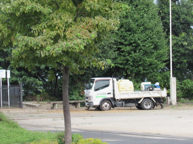 IMG_0533 IMG_0533