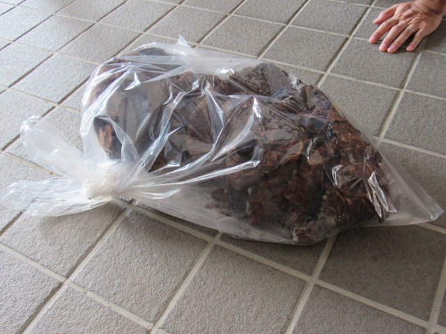 IMG_0899 IMG_0899