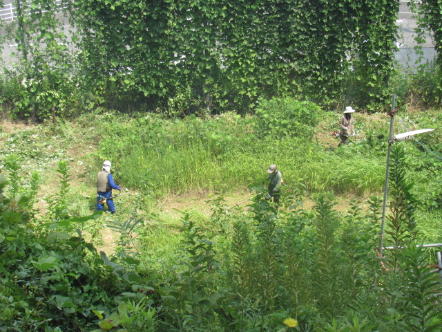 IMG_1113 IMG_1113