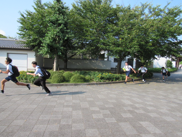 IMG_1116 IMG_1116