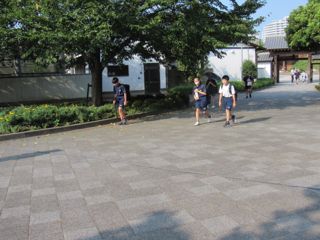 IMG_1117 IMG_1117