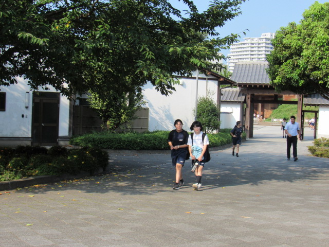 IMG_1118 IMG_1118