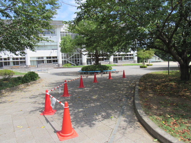 IMG_0003 IMG_0003