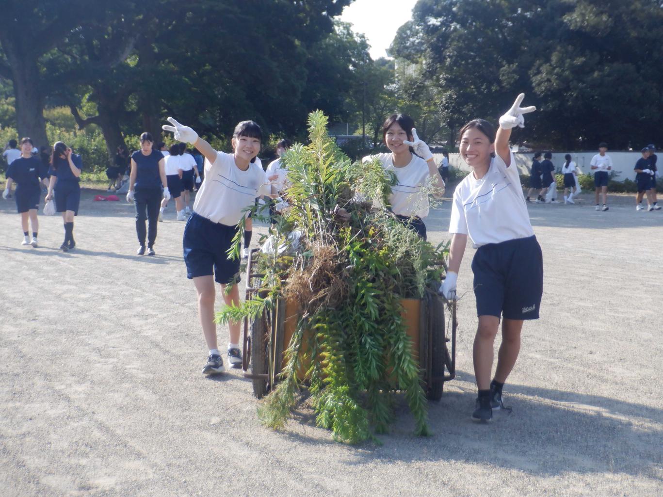 DSCF6879 DSCF6879